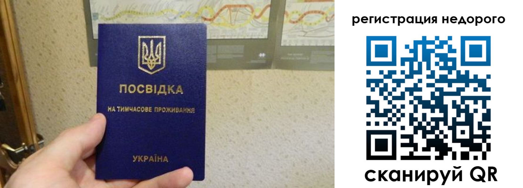 прописка для работы в Щиграх