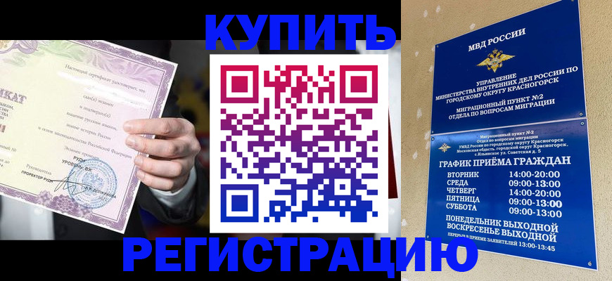 временная регистрация собственник в Щиграх